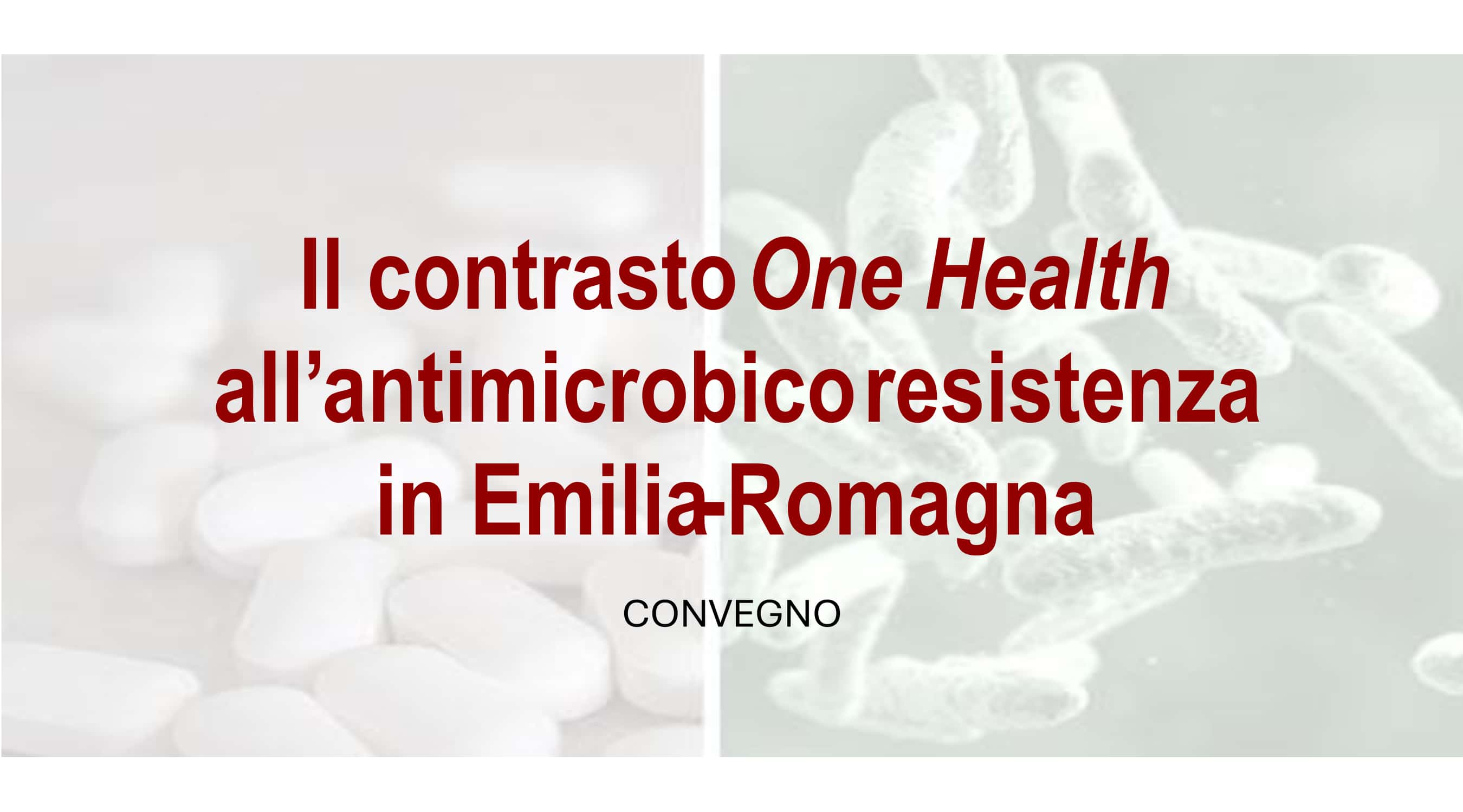 Clicca per accedere all'articolo Il contrasto One Health all’antimicrobico resistenza in Emilia-Romagna